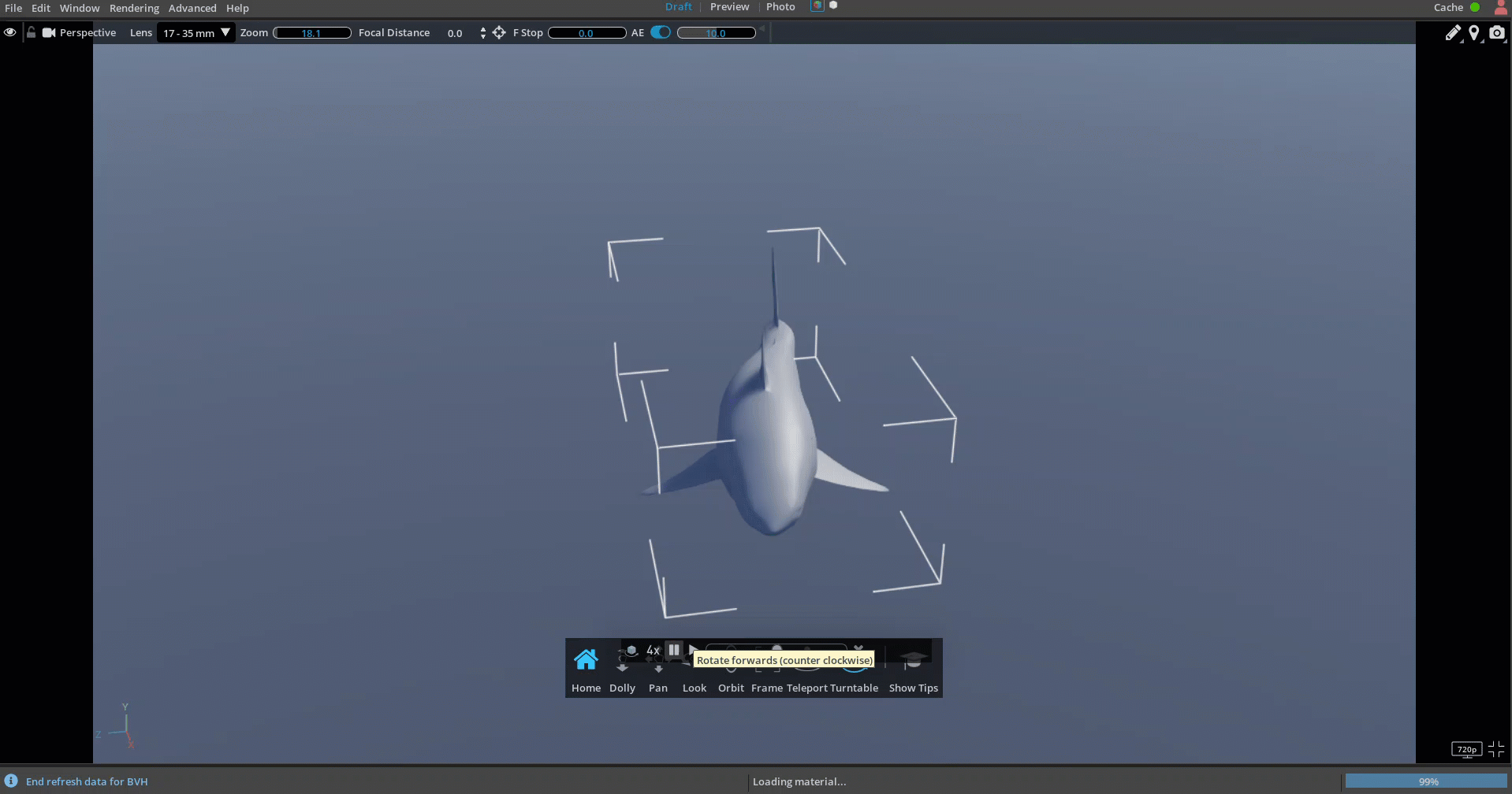 Shark model on the Turntable