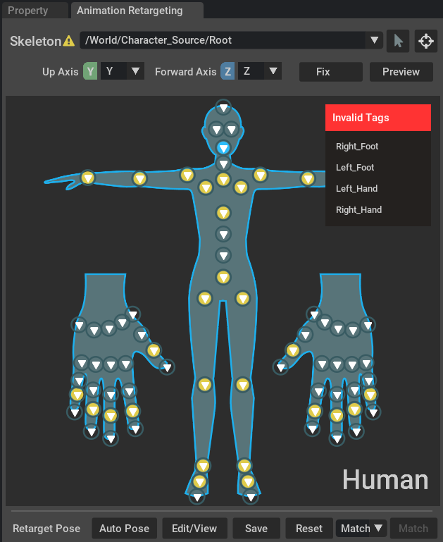 Invalid tags from imported rig in the interactive rigging view