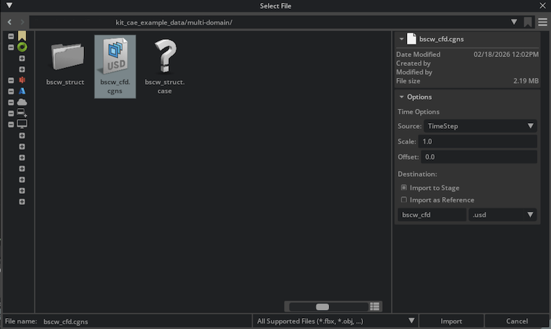 Import dialog showing Time Options with Source, Scale, and Offset fields